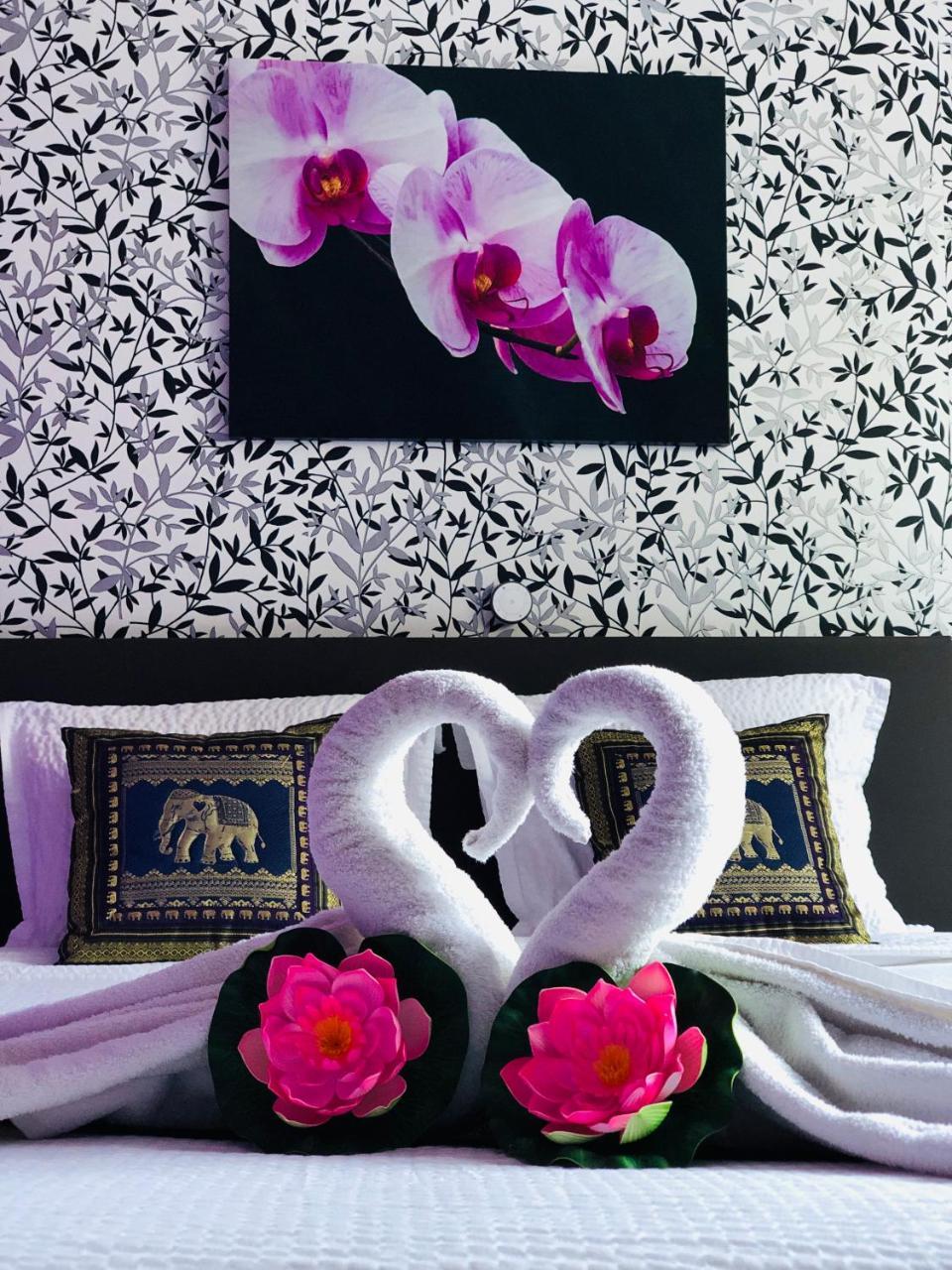 B&B Kookhai Kluisbergen Экстерьер фото